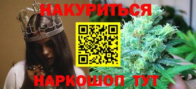 jwh Бийск