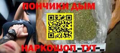 jwh Бийск
