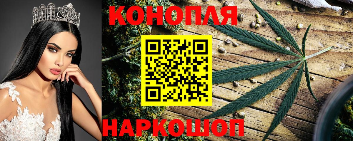 Камышлов  МАРИХУАНА марихуана  Вход с VPN  Бошки марихуана планчик  Бошки Шишки VHQ 